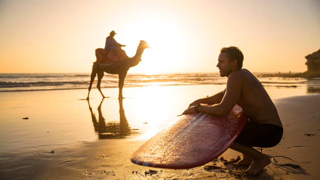 surfer with camel in Morocco during the golden hour 