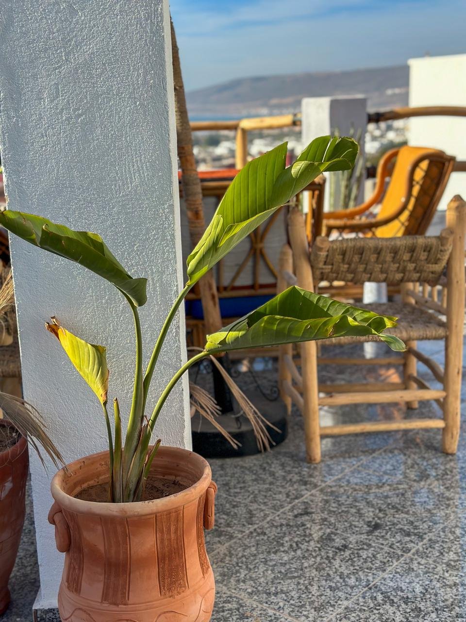 PaddleOut Morocco surf house rooftop terrace, Tamraght